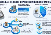 Can Downstreaming Make Indonesia a Developed Economy? Hilirisasi or Downstreaming Strategy in Indonesia