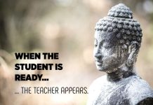 When the student is ready ... the teacher appears