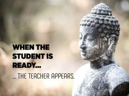 When the student is ready ... the teacher appears