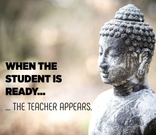When the student is ready ... the teacher appears