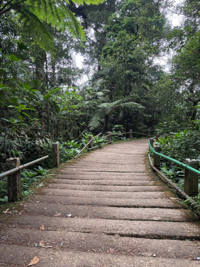 Route to Gunung Gede from Cibodas