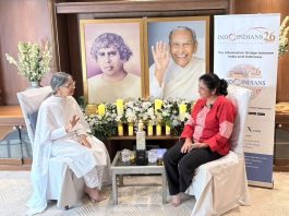 What If You Are Already Whole A Conversation with Didi Krishna