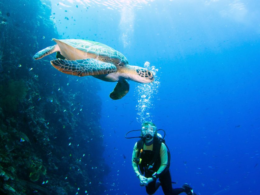 bunaken diving